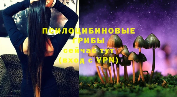 ALPHA PVP Нязепетровск