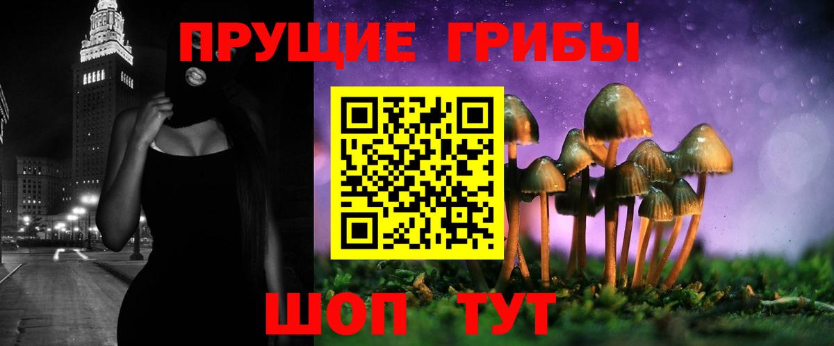 Ульяновск  Псилоцибиновые грибы Magic Shrooms  Вход с VPN 