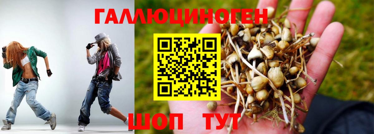 даркнет сайт  Ульяновск  Псилоцибиновые грибы Psilocybe 